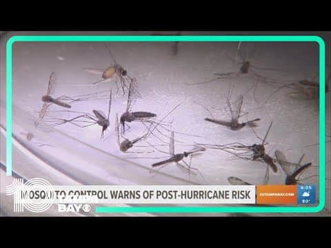 Mosquito control warns of post-hurricane risk
