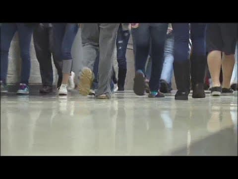 Educator's School Safety Network | Examining the cycle of violence