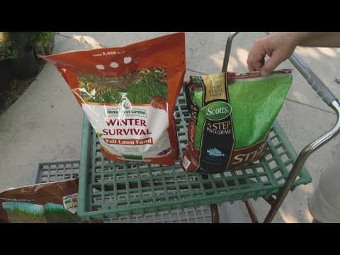 Pat Sullivan's tips for fall lawn care