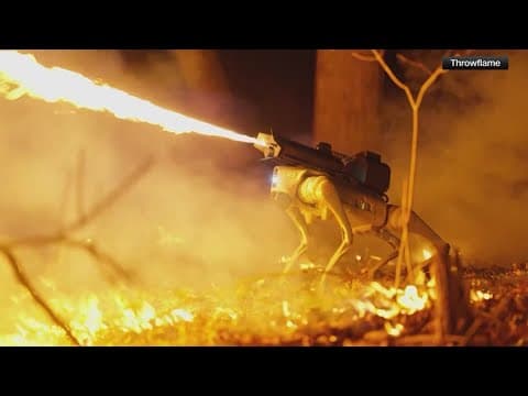 Flame throwing robot dog for now for sale