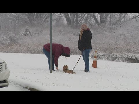 How to protect your pets in the cold