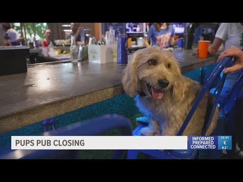 Pubs Pub holds farewell party Saturday after being forced to close