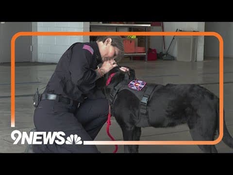 Firefighters lead initiative to bring back arson dog certification funding