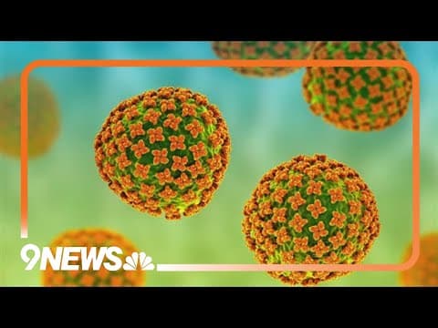 How common is hantavirus in Colorado?