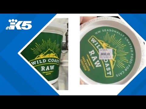 At least 2 indoor cats in King, Snohomish counties sickened with bird flu after eating raw food