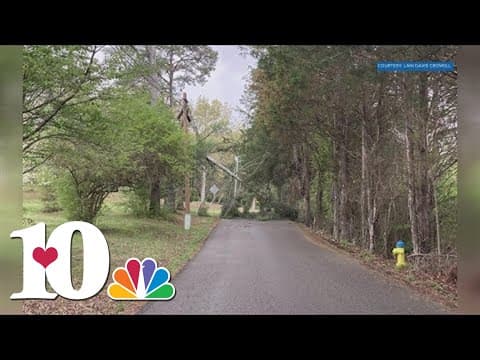 Storms and strong winds knock down trees, power lines in Knox County