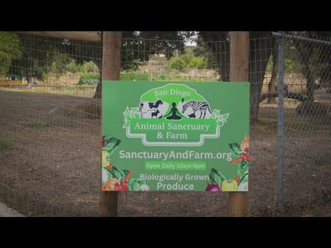 San Diego Animal Sanctuary & Farm Launches Summer Program
