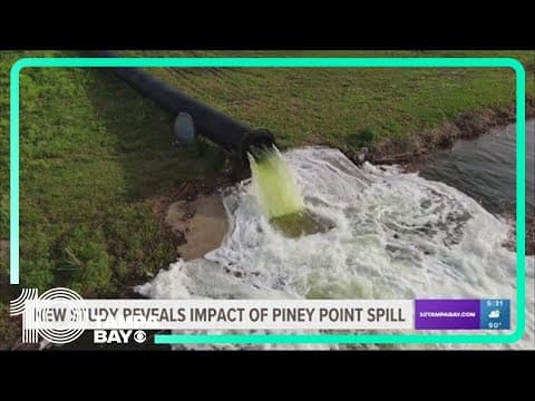 Piney Point pollution likely spread into Gulf of Mexico, study says