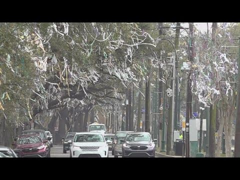 Krewe of Tucks may be exception to toilet paper ban