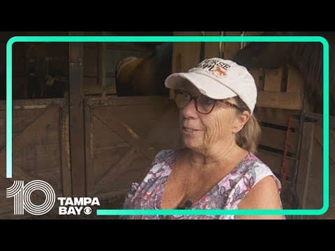 Eastern Manatee County still seeing flooding after more rain onto water-logged land