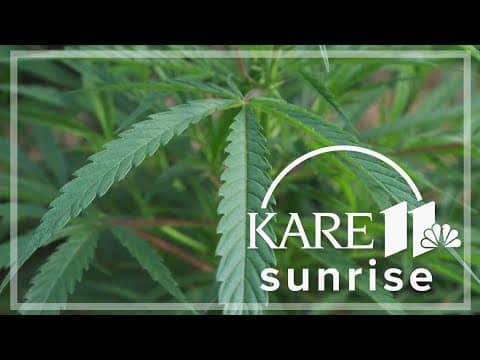 Minnesota House votes to legalize recreational marijuana; bill now goes to Senate