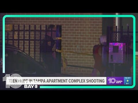 14-year-old boy said to be 'stable' after shooting at Tampa apartment complex