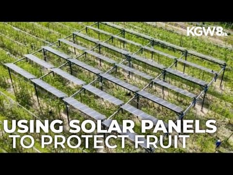 Washington orchards look to solar technology for fruit protection