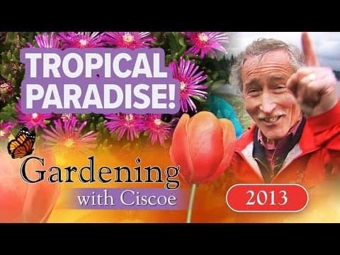 Grow a TROPICAL PARADISE in Your PNW Garden! | Gardening With Ciscoe | Full Episode