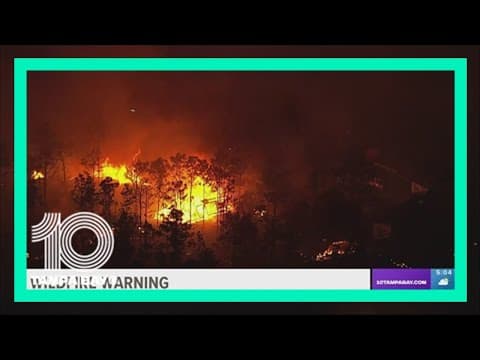 Florida wildfire season: More than 1K fires reported this year so far — and drought continues