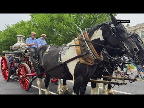 DC firefighters mark 100 years since the department used horse-drawn carriages