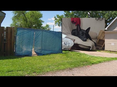 Man in custody after shooting his neighbor's dog in Indianapolis