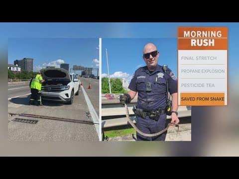 Dallas Police remove snake from the hood of a car