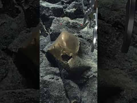 Scientists are confounded by ‘golden orb’ discovered in the ocean off the Alaskan coast