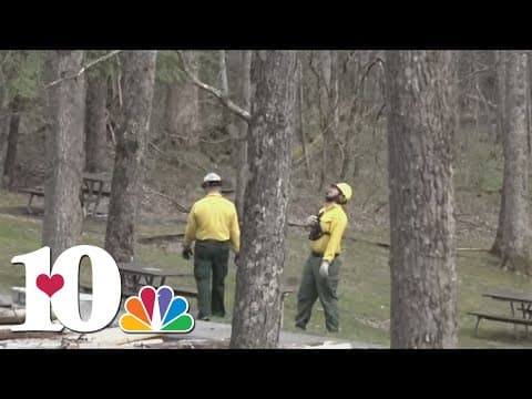 Smokies looking for trail rehab volunteers