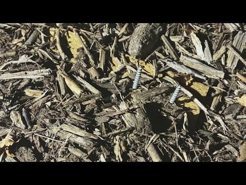 Dispute between Seabrook businesses escalates after jiu-jitsu student steps on hidden nail trap