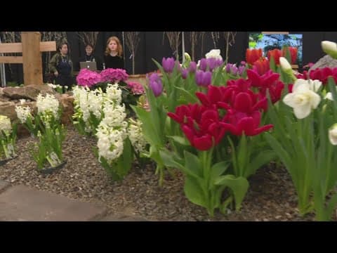 Indiana Flower +Patio Show returns to State Fairgrounds