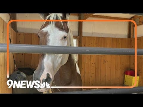 Horse injured in Alexander Mountain Fire released from hospital