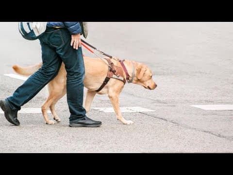 The Seeing Eye empowers people who are blind to live independently