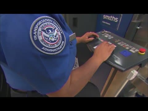 Cheaper flights ahead as US travel demand declines