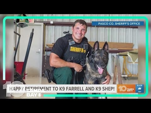 Two Pasco County K-9s celebrate retirement