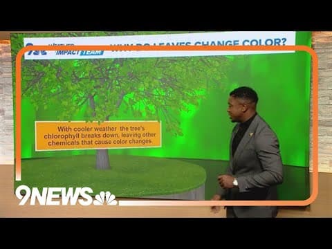 What causes leaves to change color?