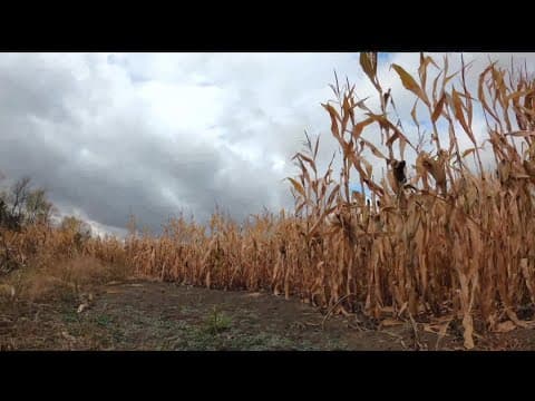 DNR says early snow could help with worsening drought conditions