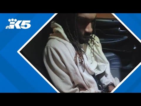 Search continues for fugitive who fled on light rail from SEA Airport