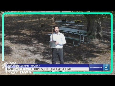 Tampa Bay communities work to restore shrinking tree canopies