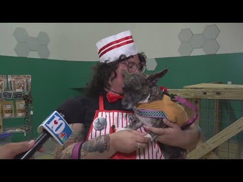 Barks and Boo's event held in Knoxville