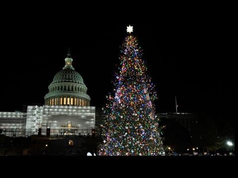 Capitol Christmas Tree Lighting