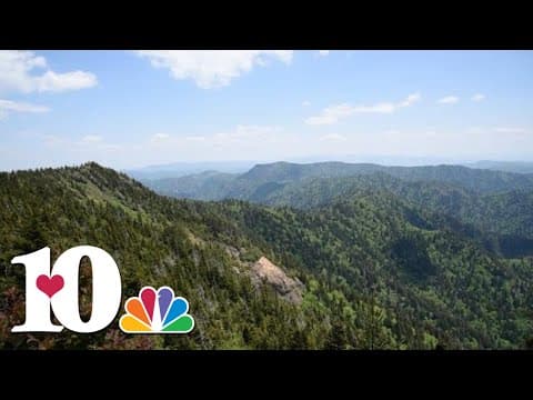Nature Sounds: Mount LeConte