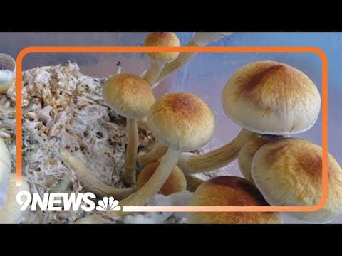 Castle Rock considering strict regulations for healing centers that use psilocybin