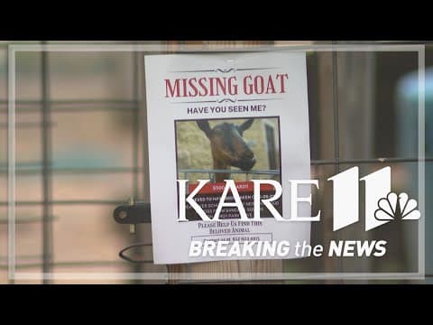St. Paul PD investigating after missing education goat found dead