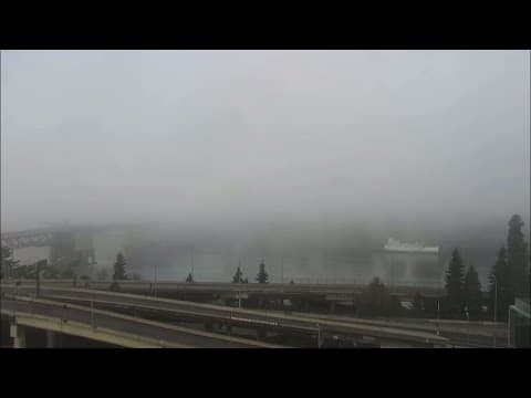 Live look: Fog on the Willamette River
