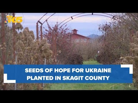 Seeds of hope for Ukraine planted by Skagit County farmers