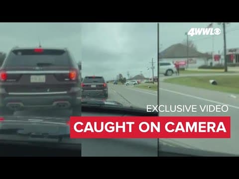 Police officer allegedly bitten, shoots dog