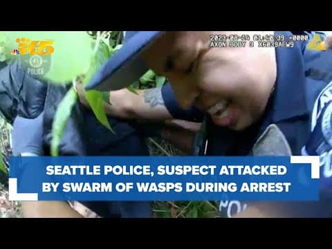 Carjacking suspect, Seattle police officers stung by wasps during arrest