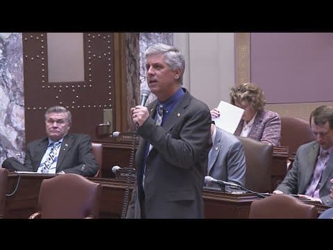 Minnesota state senator makes controversial hunger remarks