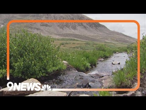 National Forest Week: The role forests play in Colorado