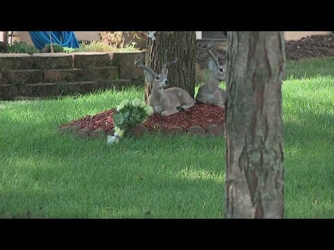 Police: Man arrested after his parents found shot, killed inside Delaware home