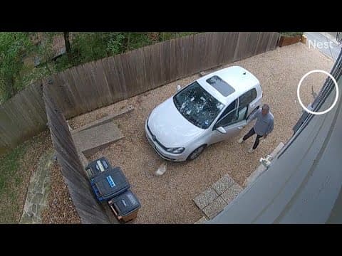 'I literally can't walk outside' | Intrusive hawk temporarily halts mail in Texas neighborhood