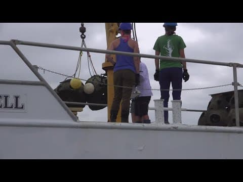 St. Mary's River oyster restoration puts spotlight on climate resilience