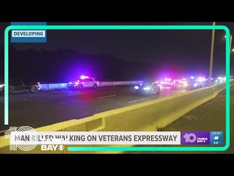 Police trying to identify man killed on Veterans Expressway