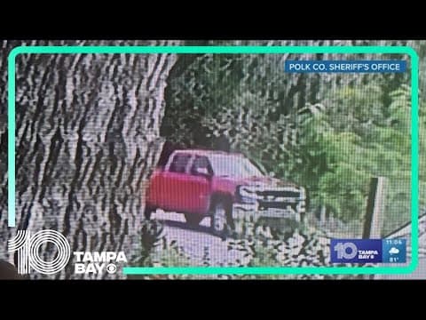 Truck involved in deadly hit-and-run crash involving 9-year-old boy found